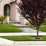 PreGra 62 oz Select Artificial Turf