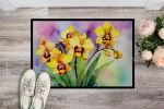 Orchids in Watercolor Doormat Front Door Mat Indoor Outdoor Rugs for Entryway, Non Slip Washable Low Pile, 24H X 36W