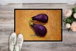 NEW EP II Eggplant Doormat Front Door Mat Indoor Outdoor Rugs for Entryway, Non Slip Washable Low Pile, 18H X 27W