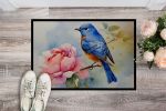 Bluebird Doormat Front Door Mat Indoor Outdoor Rugs for Entryway, Non Slip Washable Low Pile, 24H X 36W