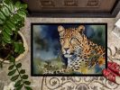 NEW Leopard Doormat Front Door Mat Indoor Outdoor Rugs for Entryway, Non Slip Washable Low Pile, 18H X 27W