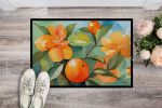 NEW Florida Orange Blossom in Watercolor Doormat Front Door Mat Indoor Outdoor Rugs for Entryway, Non Slip Washable Low Pile, 18H X 27W