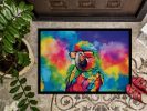 NEW Hippie Animal Parrot Doormat Front Door Mat Indoor Outdoor Rugs for Entryway, Non Slip Washable Low Pile, 18H X 27W