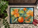 NEW Florida Orange Blossom in Watercolor Doormat Front Door Mat Indoor Outdoor Rugs for Entryway, Non Slip Washable Low Pile, 18H X 27W