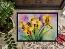 Orchids in Watercolor Doormat Front Door Mat Indoor Outdoor Rugs for Entryway, Non Slip Washable Low Pile, 24H X 36W